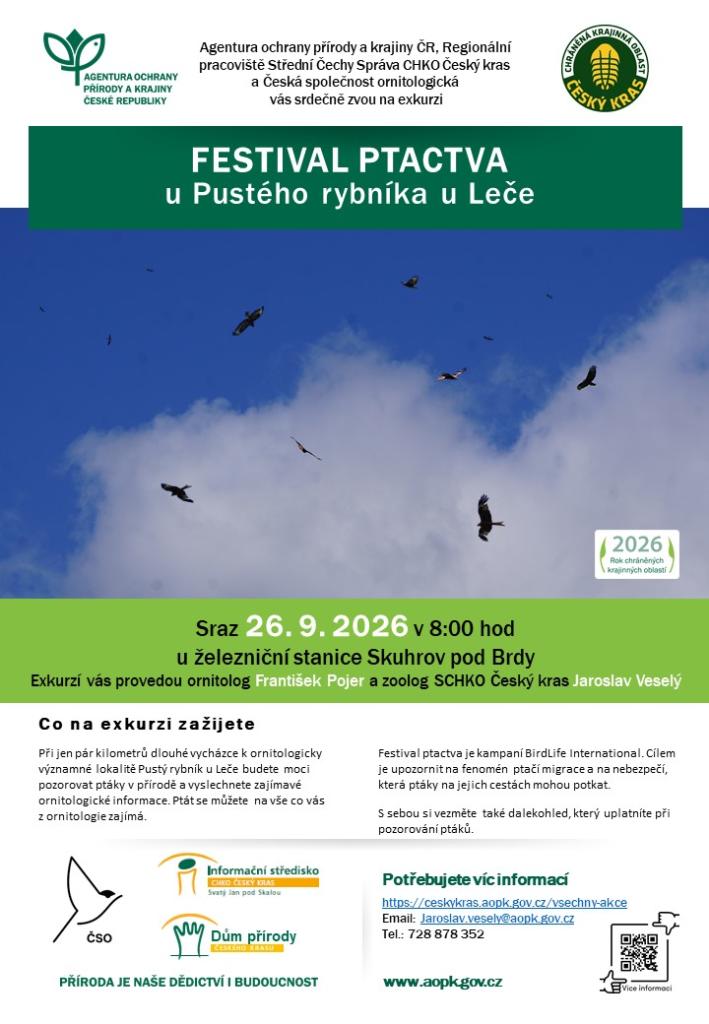 festival ptactva
